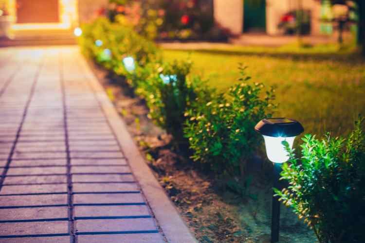 Solar Lights or Low Voltage Landscape Lighting_ solar walkway lights_premiere electric