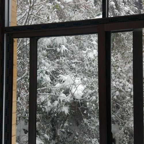 _Which Direction Should Your Ceiling Fan Rotate in Summer-Premire Electric