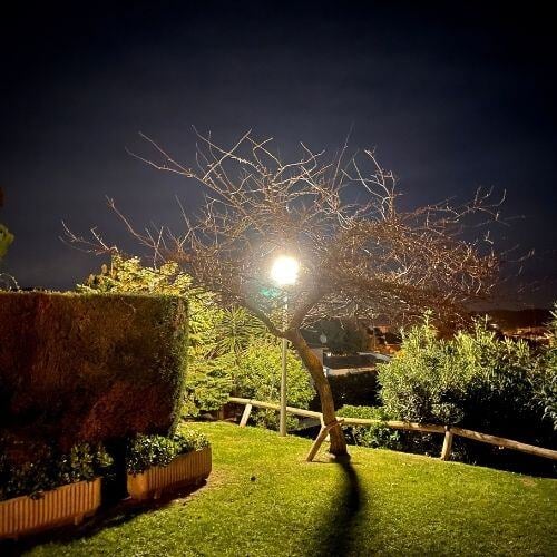 outdoor lamp post _ environmental benefits_should i hire an electrician_Premiere Electric